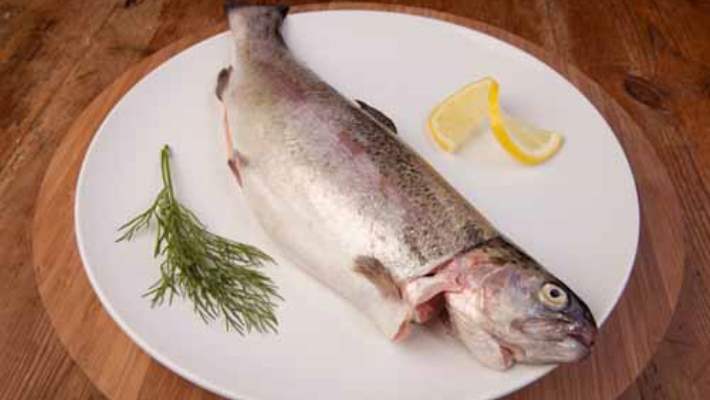 Balık Yağının Beyin Sağlığına Yararları