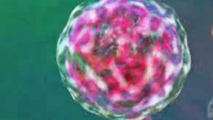 Siğil Tedavisinde Kullanılan Yöntemler Nelerdir?