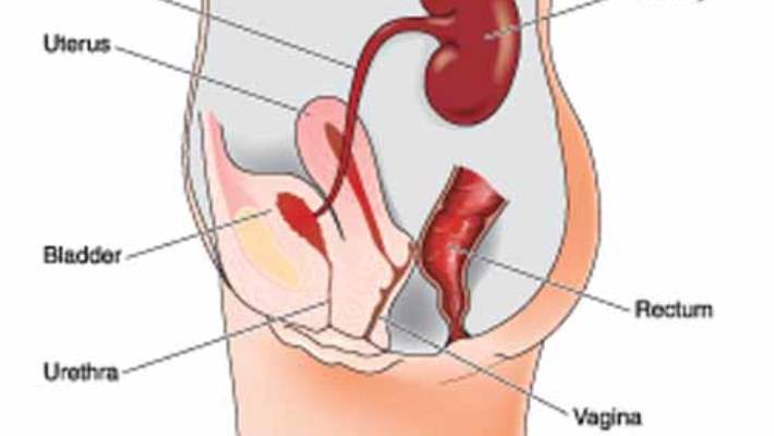 Rahim Kanseri Türleri Nelerdir?