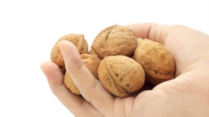 Ceviz Sperm Kalitesini Arttırıyor