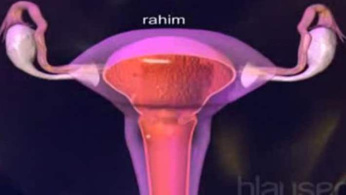 Rahim Kanserinde Erken Teşhis Yöntemleri