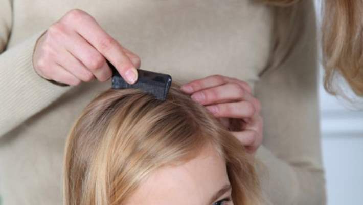 Bitin Bulaşma Şekilleri Nasıldır?