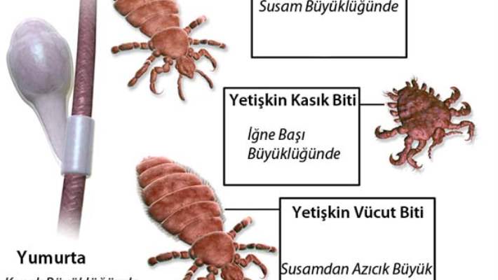 Bit Çeşitleri Nelerdir?