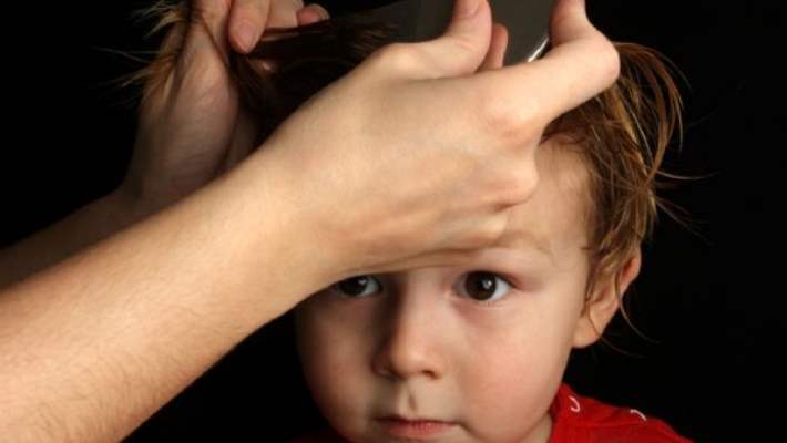Bitler Hangi Hastalıkları Bulaştırabilir?