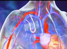 Akdeniz anemisi nedir? Akdeniz anemisi nedir?