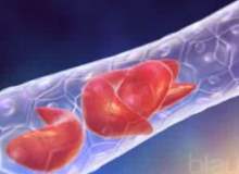 Akdeniz anemisi tedavisinde kök hücre nakli Akdeniz anemisi tedavisinde kök hücre nakli