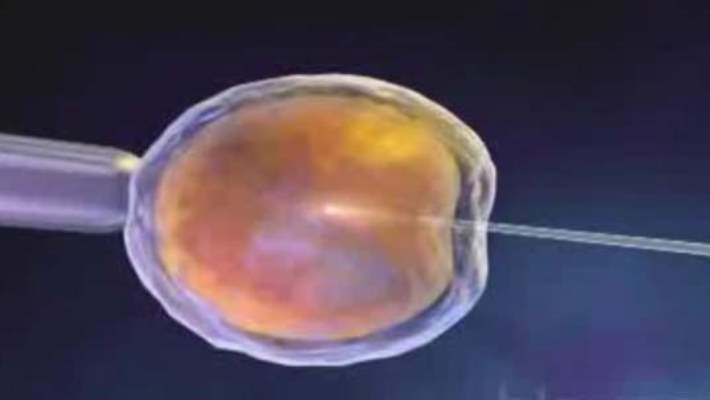 Kök Hücre Çocuksuz Çiftlere Umut Olacak