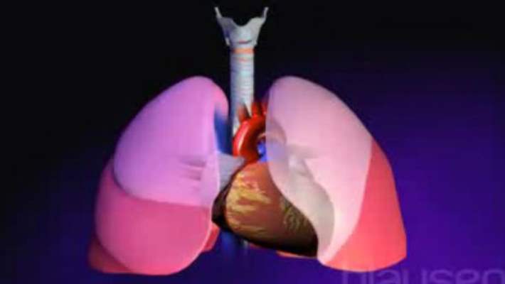 Akciğer Kanserinin Tedavisi
