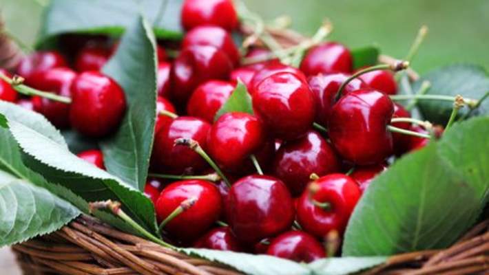 Kiraz, Gut Ağrılarına İyi Geliyor