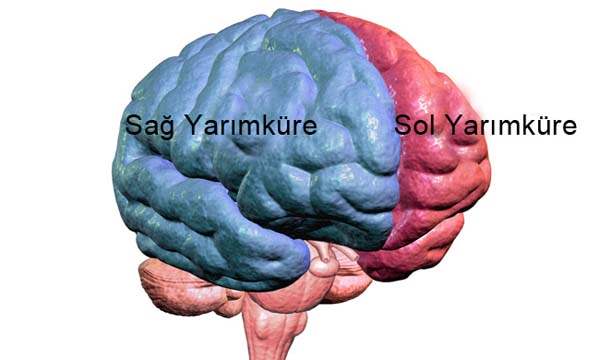 Beyin tümörü türleri