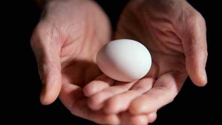 Tavuk Yumurtası Kolesterol İçin Yararlı Mı Zararlı Mı?