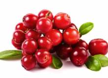 Aronia meyvesi tümörlü hücrede de yararlı Aronia meyvesi tümörlü hücrede de yararlı