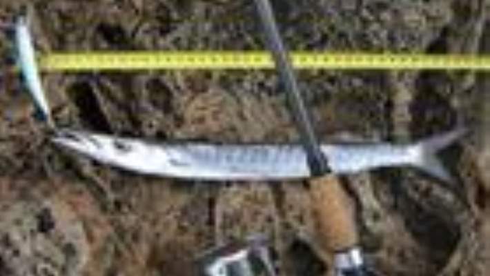 Ayak Bileği Burkulması Tedavisi