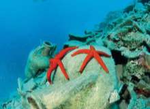 Dalış Kaynaklı Kulak Ağrısı Tedavisi Dalış Kaynaklı Kulak Ağrısı Tedavisi