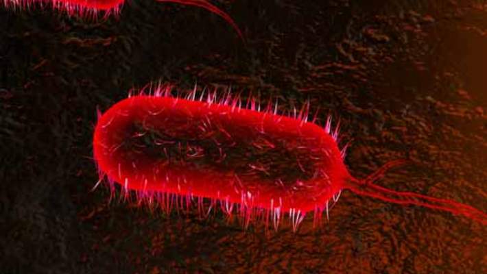 Biyolojik Ajanların Dolaşımı Ve Tespit Edilmesi