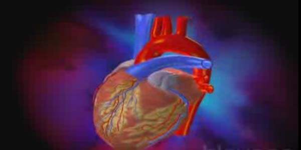 Atriyal Fibrilasyon Nedir?