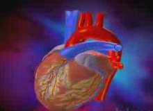 Atriyal Fibrilasyon Nedir? Atriyal Fibrilasyon Nedir?
