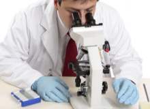 Böbrek Enfeksiyonu Böbrek Enfeksiyonu