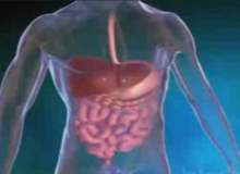 Gastrointestinal Kanama Gastrointestinal Kanama