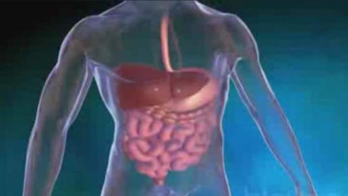 Gastrointestinal Kanama