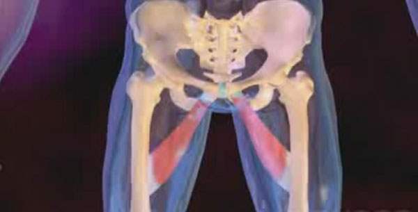 Kalça Labrum Yırtığı