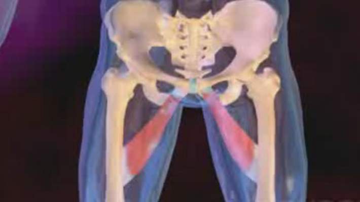 Kalça Labrum Yırtığı