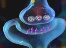 Dikkat Eksikliği Hiperaktivite Bozukluğu Dikkat Eksikliği Hiperaktivite Bozukluğu