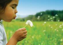 10 Yaygın Alerji Tetikleyici 10 Yaygın Alerji Tetikleyici