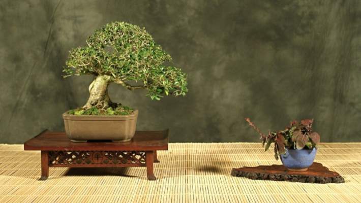 Evinizdeki 10 Gizli Alerji Noktası