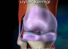 Kaval Kemiği Ağrıları Kaval Kemiği Ağrıları