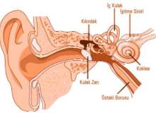 Meniere (Menyer) Hastalığı Meniere (Menyer) Hastalığı