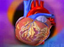 Kalp Hastalığı Riskini Azaltmak için Kolesterolü Düşürmek