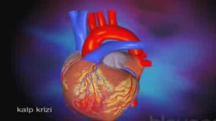 Kalp Krizi