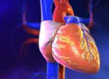 Kalp Yetmezliği Nedir? Kalp Yetmezliği Nedir?