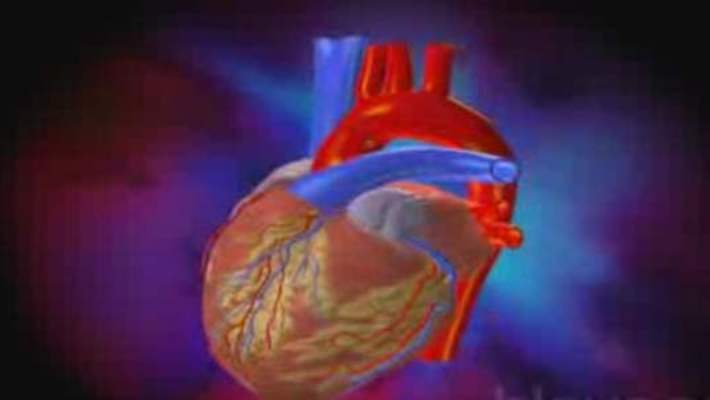 Kalp Yetmezliği: Ani Kalp Yetmezliğini Tetikleyen Faktörlerden Kaçınmak