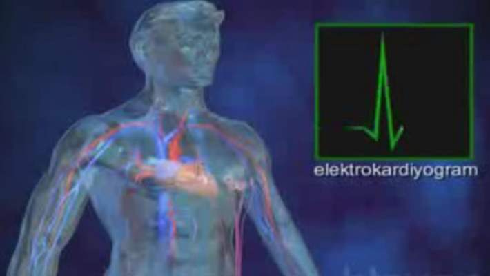 Elektrokardiyogram