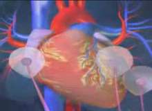 Hızlı Kalp Atımı: Taşikardi Hızlı Kalp Atımı: Taşikardi