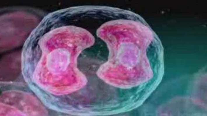 Hoçkin Dışı Lenfoma Gözetimi (Bekle Ve Gör)