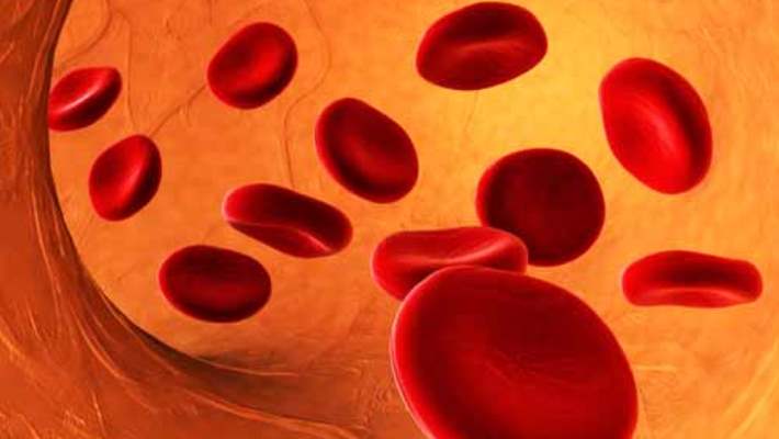 Hemoglobin Testi