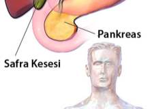 HIDA Taraması HIDA Taraması