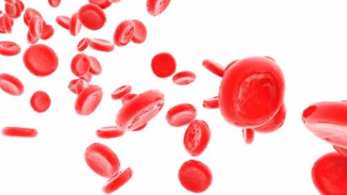yüksek tansiyon için kırmızı kan hücreleri)