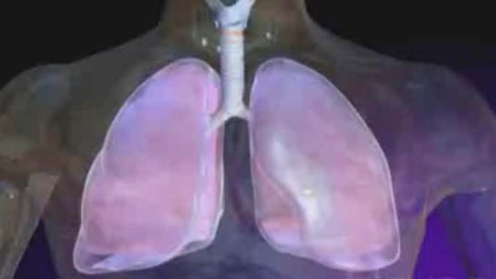 Zatülcenp (Plörezi)