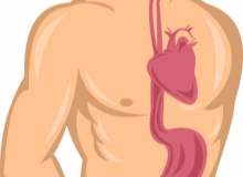 Özofageal Manometri Özofageal Manometri