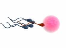 Spermisitler (Sperm öldürücüler) Spermisitler (Sperm öldürücüler)