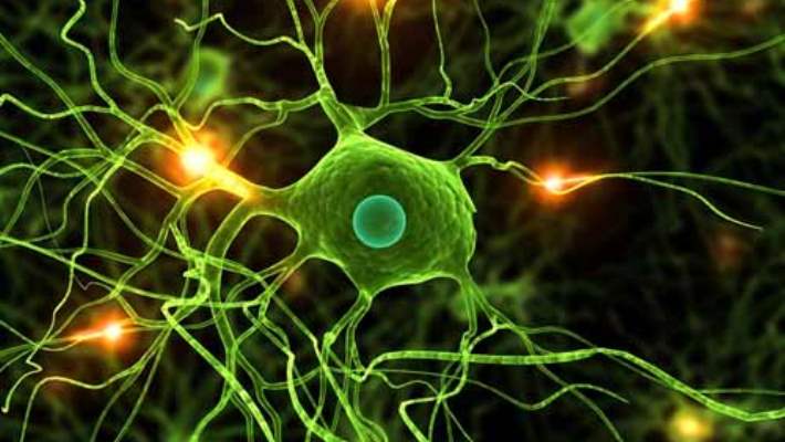 Transkranial Manyetik Stimülasyon (Tms)