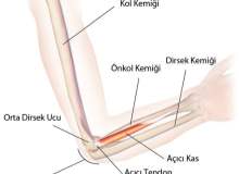 Önkol Kırıkları Önkol Kırıkları