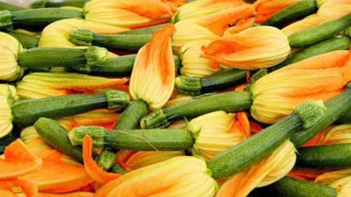 kabak cicegi dolmasi hemen saglik