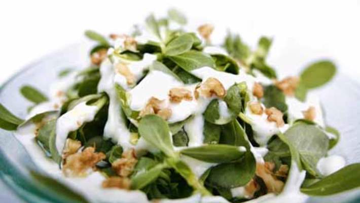 Yoğurtlu Semizotu Salatası