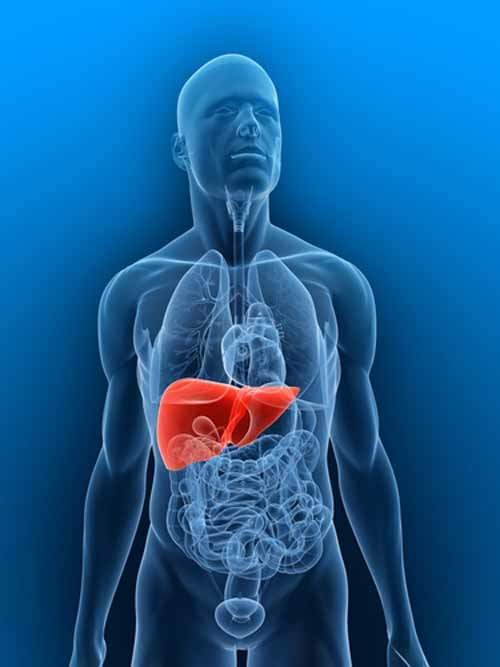Toksik Hepatit