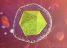Hepatit A Hepatit A
